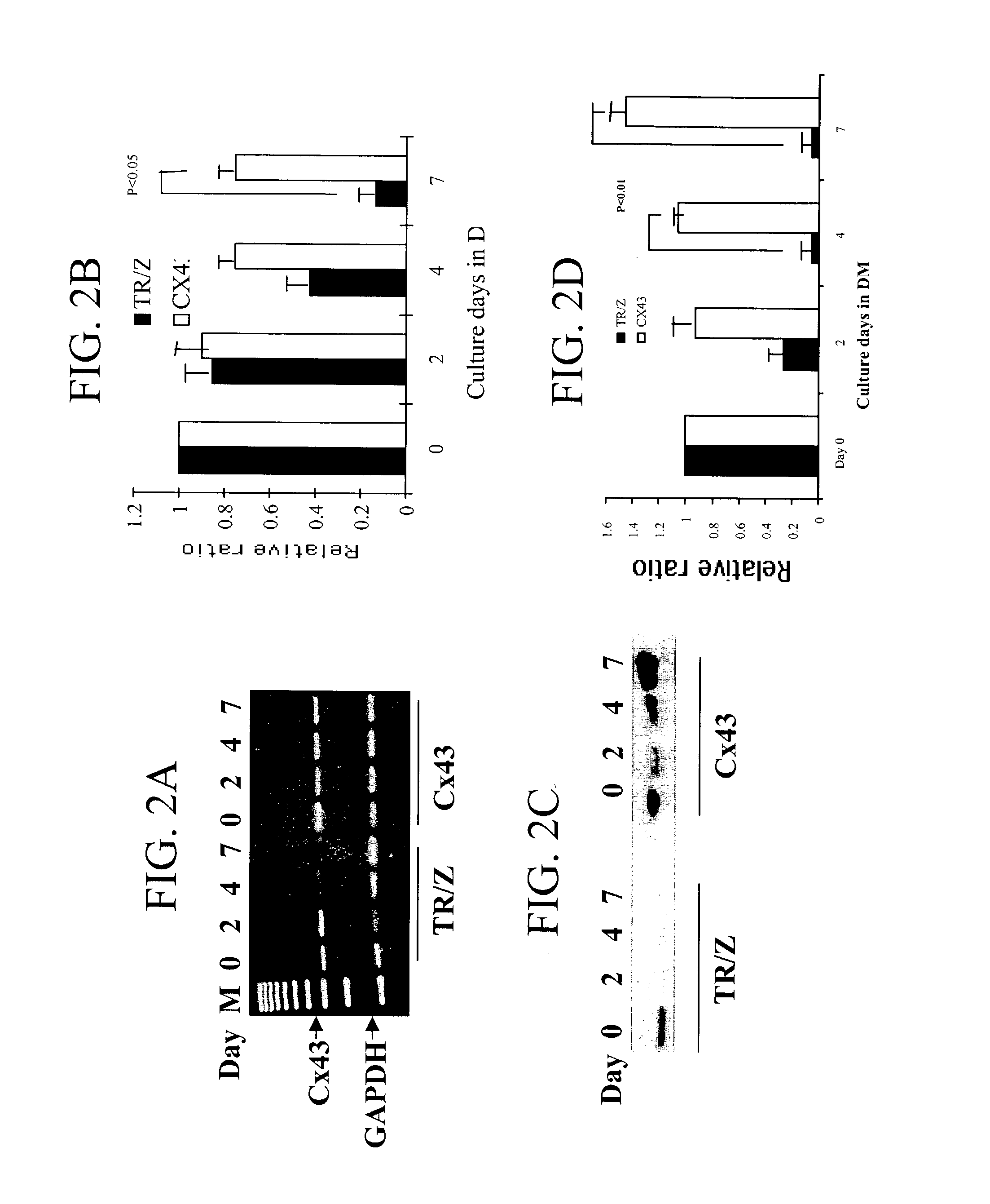 Methods and compositions for correction of cardiac conduction disturbances