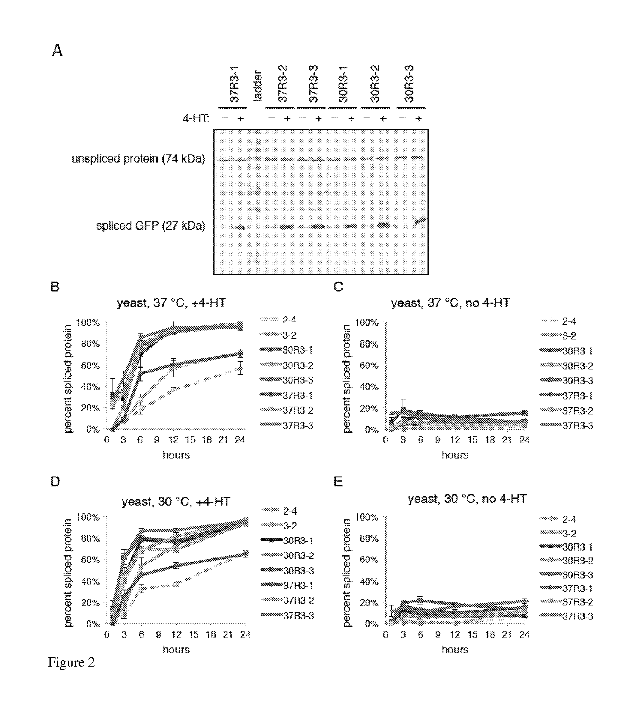 Small molecule-dependent inteins and uses thereof