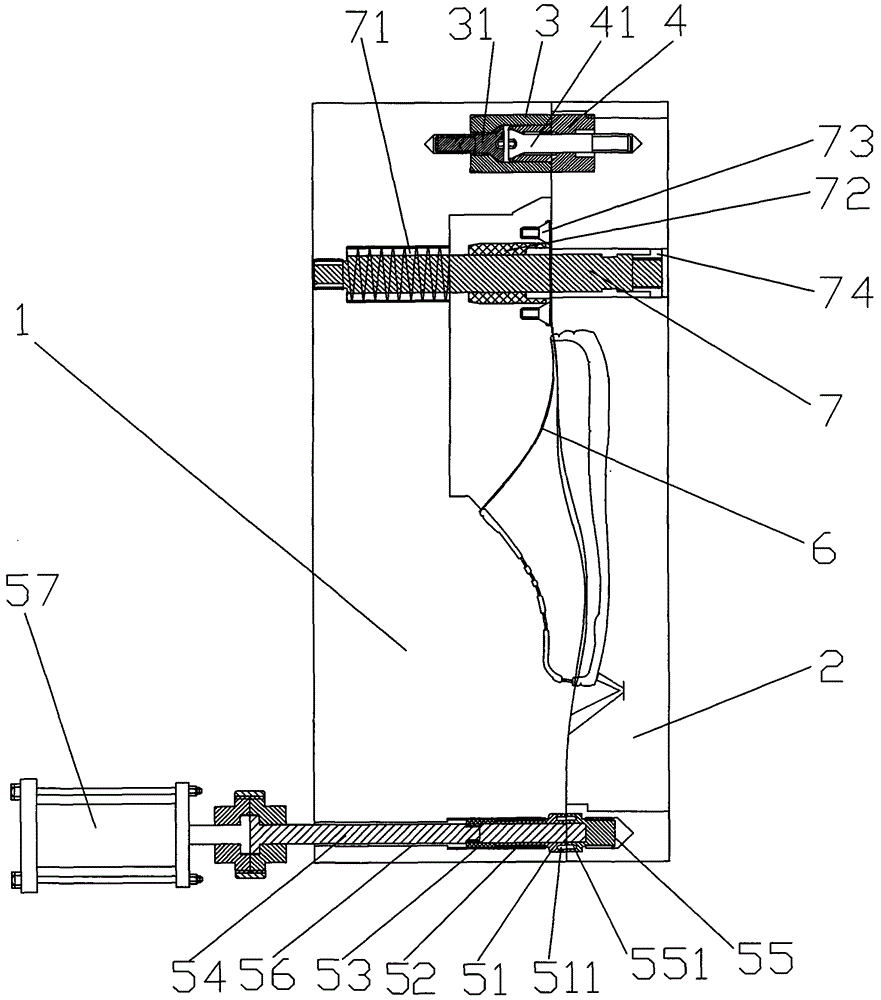 A shoe mold