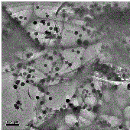 Three-dimensional composite material formed by filling carbon-encapsulated tin granules into graphene interlaminations and by filling graphene layers with carbon-encapsulated tin granules and preparation method for three-dimensional composite material