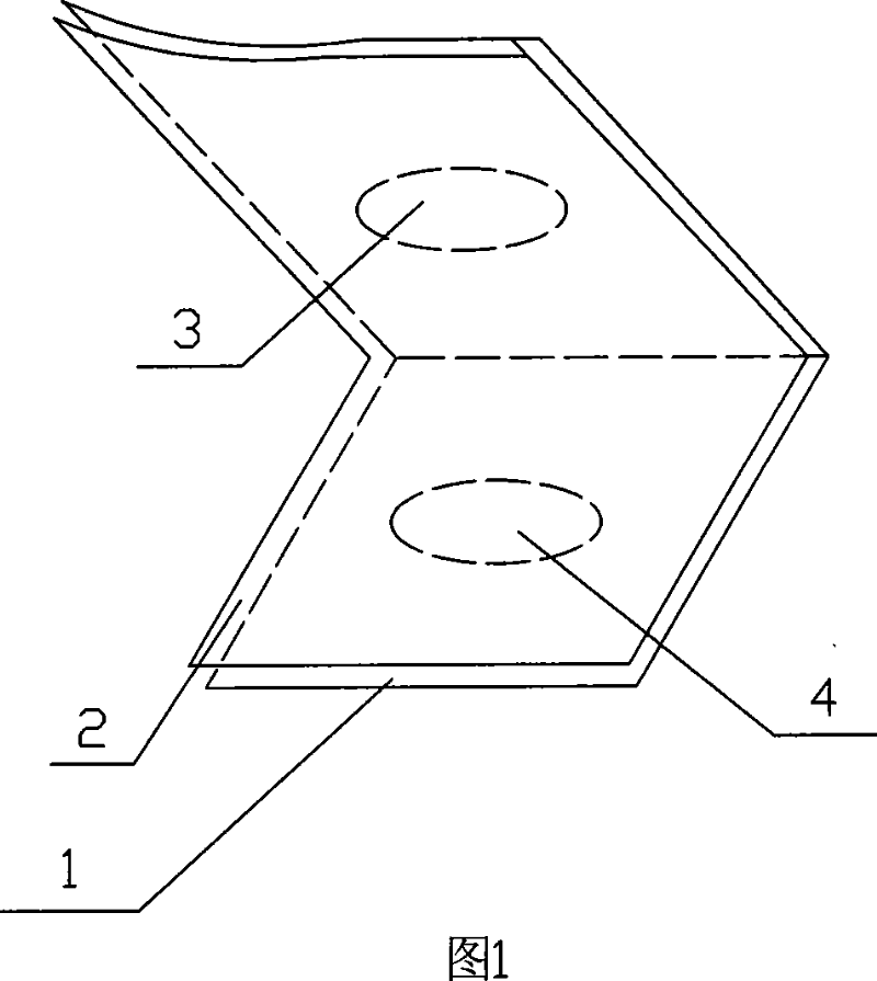 Amnion slice material and the preparing method and the application