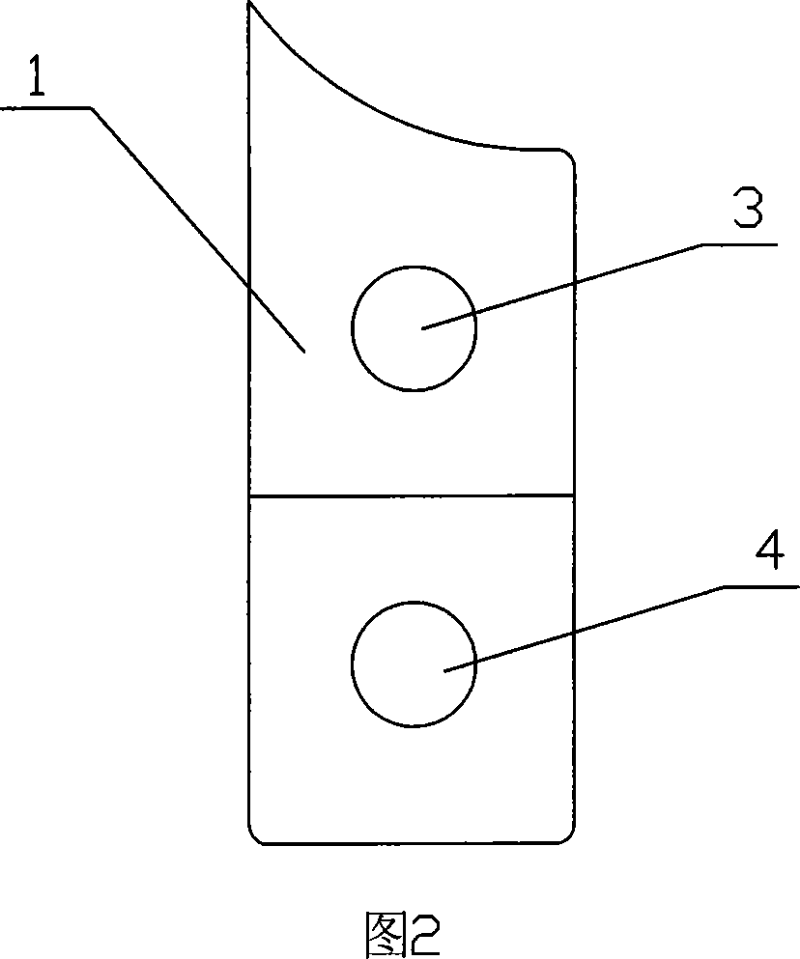 Amnion slice material and the preparing method and the application