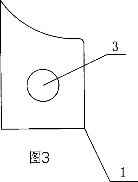 Amnion slice material and the preparing method and the application