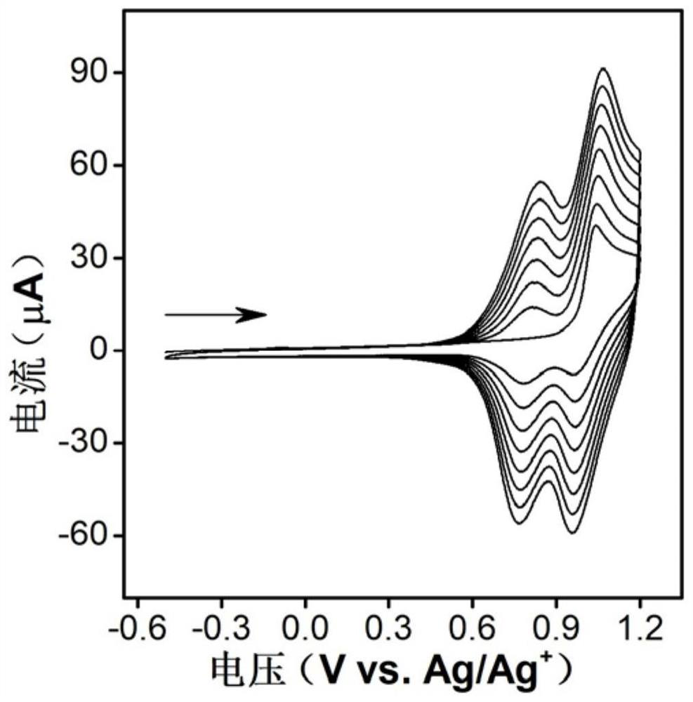 Organic electrode with stable water and oxygen as well as preparation method and application of organic electrode