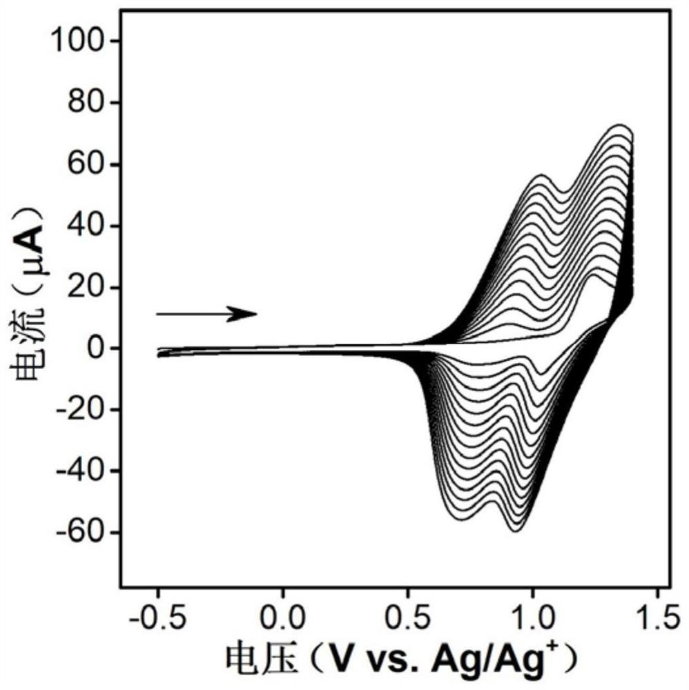 Organic electrode with stable water and oxygen as well as preparation method and application of organic electrode