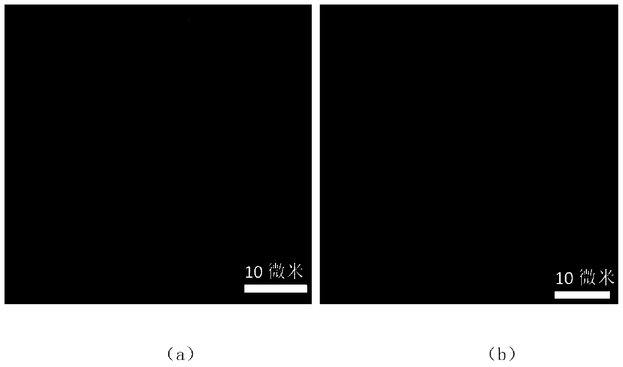 Preparation method of surface plasmon metamaterial