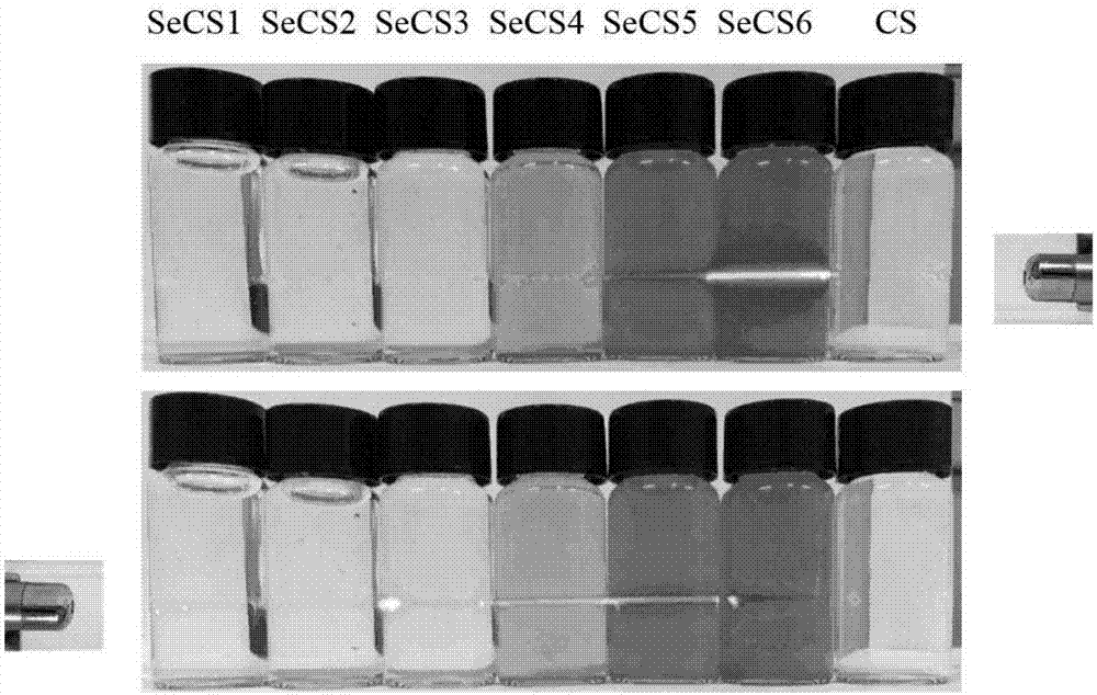 Chondroitin sulfate A nano-selenium micelle particle, and preparation method and application thereof