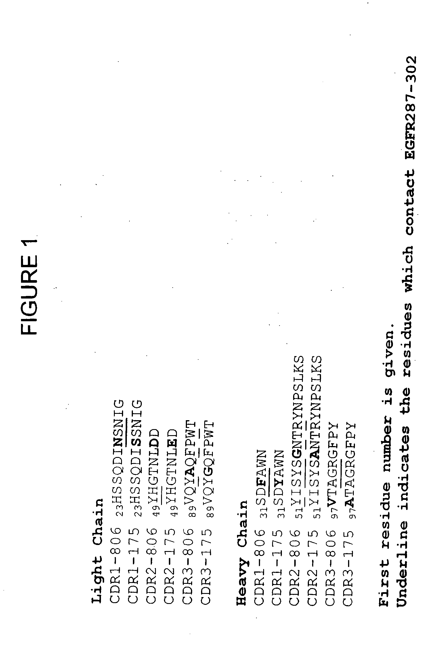 Monoclonal antibody 175 tageting the egf receptor and derivatives and uses thereof