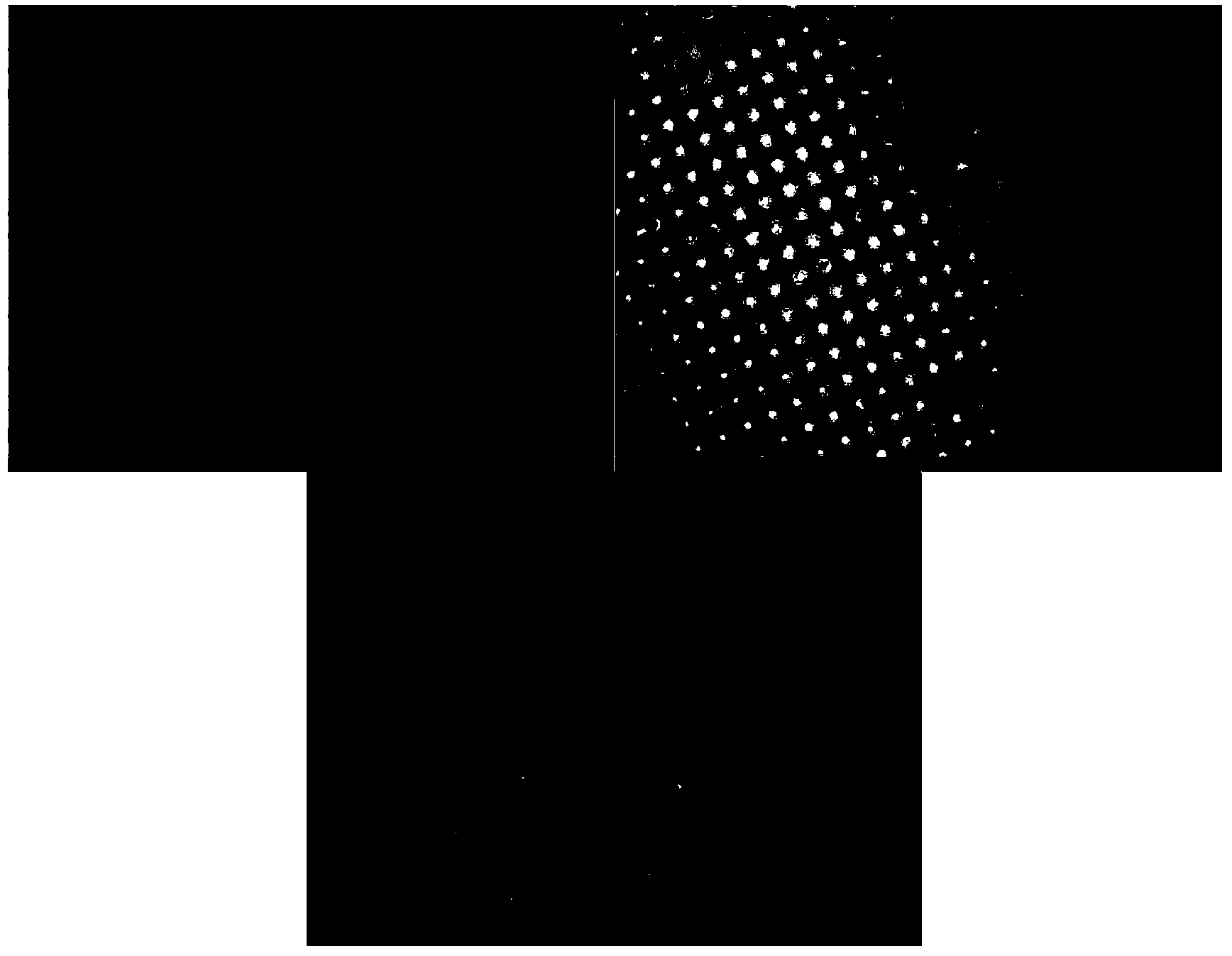 Preparation method for realizing graphical ZnO nanowire arrays by micro-contact printing