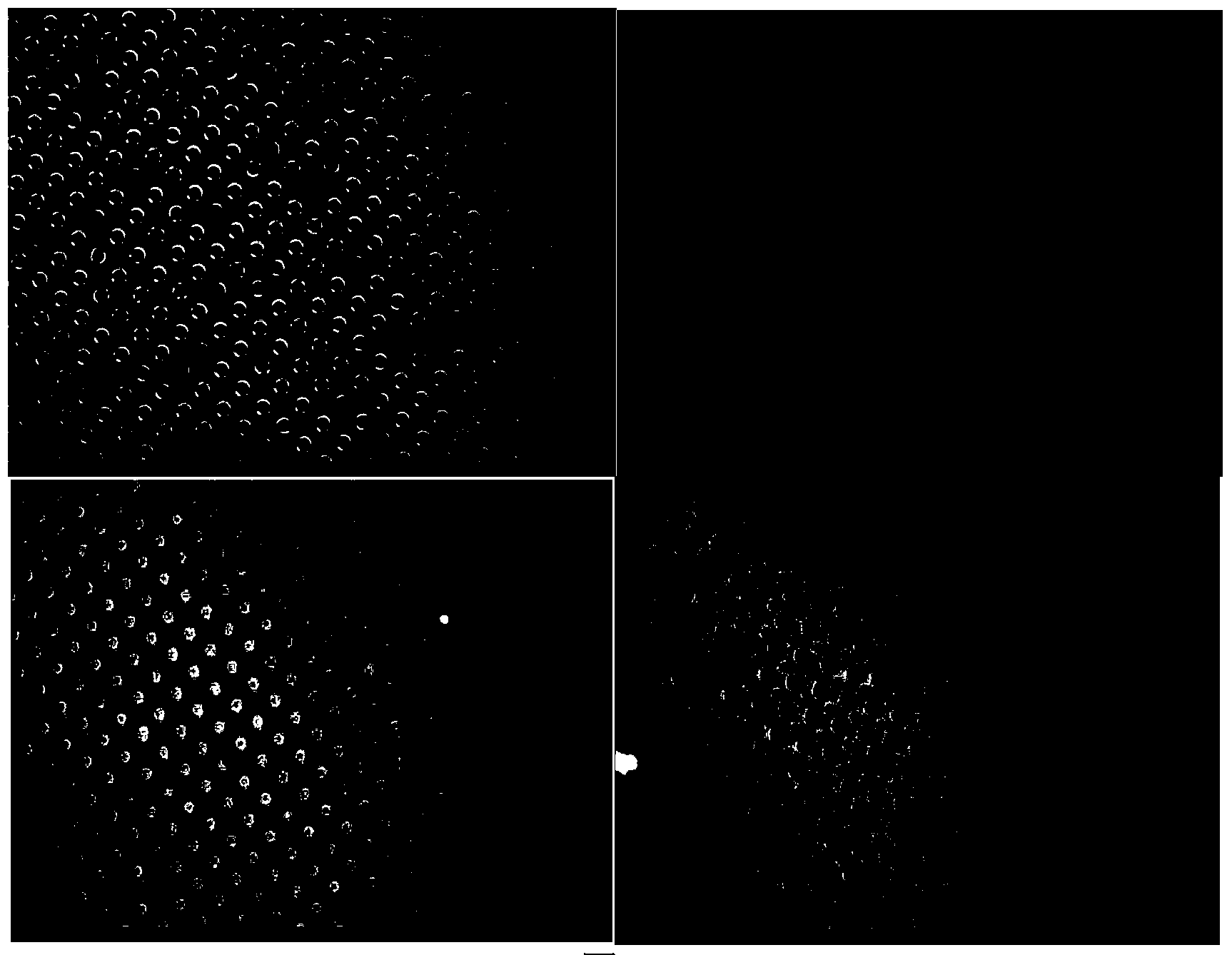 Preparation method for realizing graphical ZnO nanowire arrays by micro-contact printing