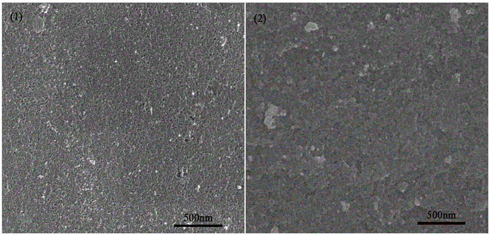 Nitrogen-doped carbon aerogel and preparation method thereof