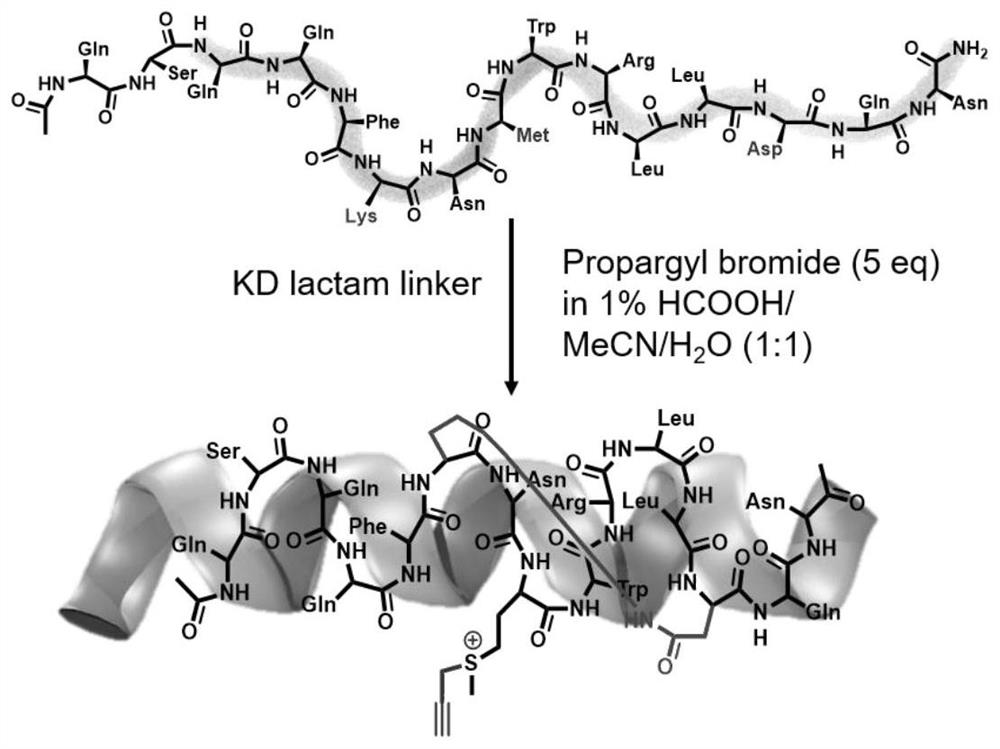 A kind of stable polypeptide protein targeting inhibitor and use thereof