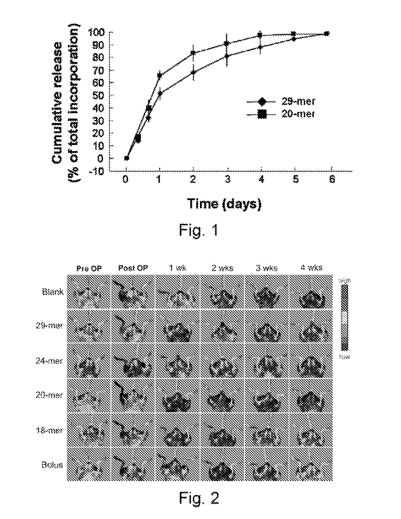 Use of pedf-derived polypeptides for promoting muscle or tendon regeneration or arteriogenesis