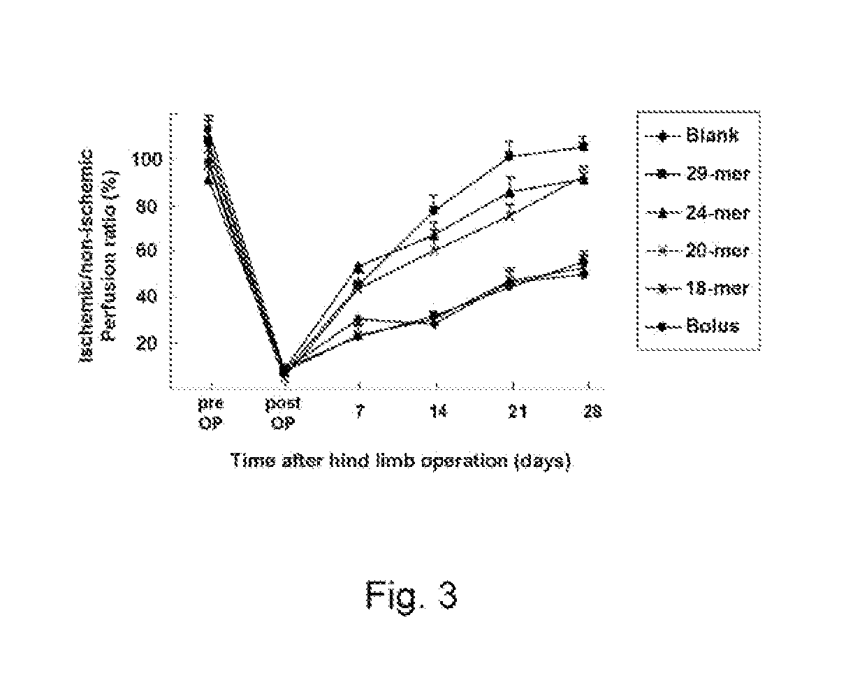 Use of pedf-derived polypeptides for promoting muscle or tendon regeneration or arteriogenesis