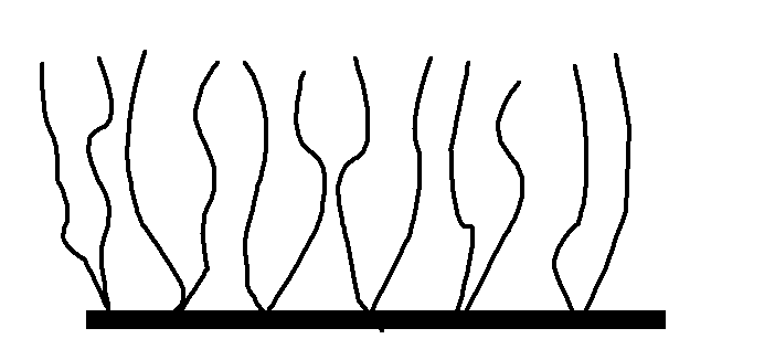 Polycarboxylic acid and application thereof, and cement water reducing agent containing polycarboxylic acid