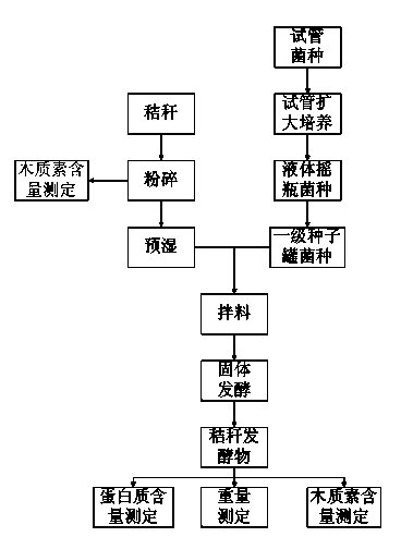 Method for Aspergillus oryzae to degrade straw to produce protein feed