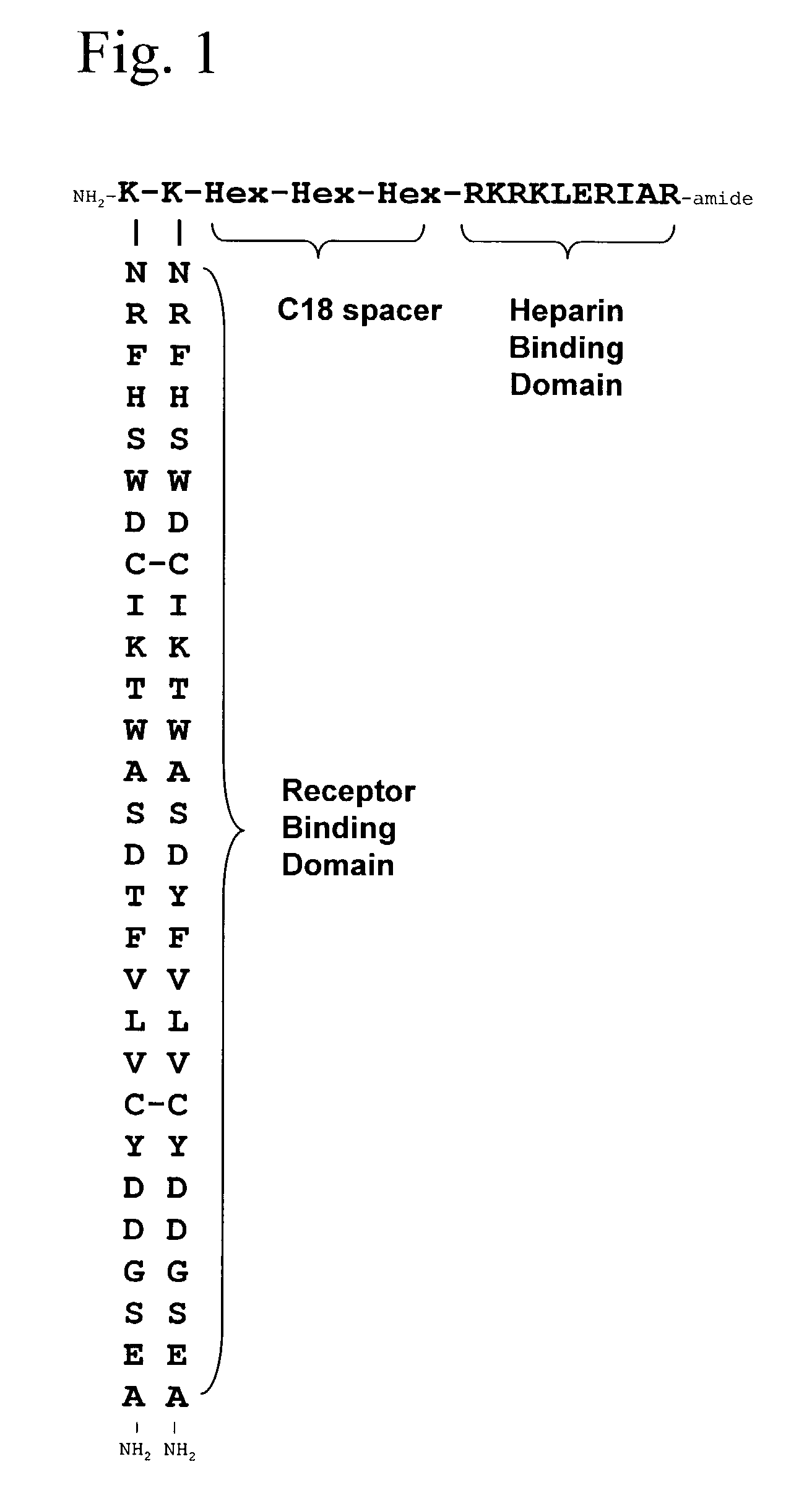 Synthetic heparin-binding growth factor analogs