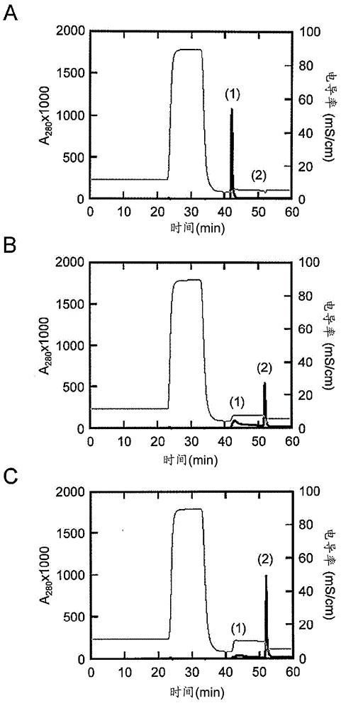 Support for antibody purification, manufacturing method for same, and application for same