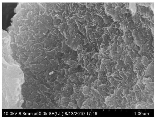 Method for preparing calcium-magnesium-aluminum iron hydrotalcite by taking high-magnesium phosphate tailings as raw material