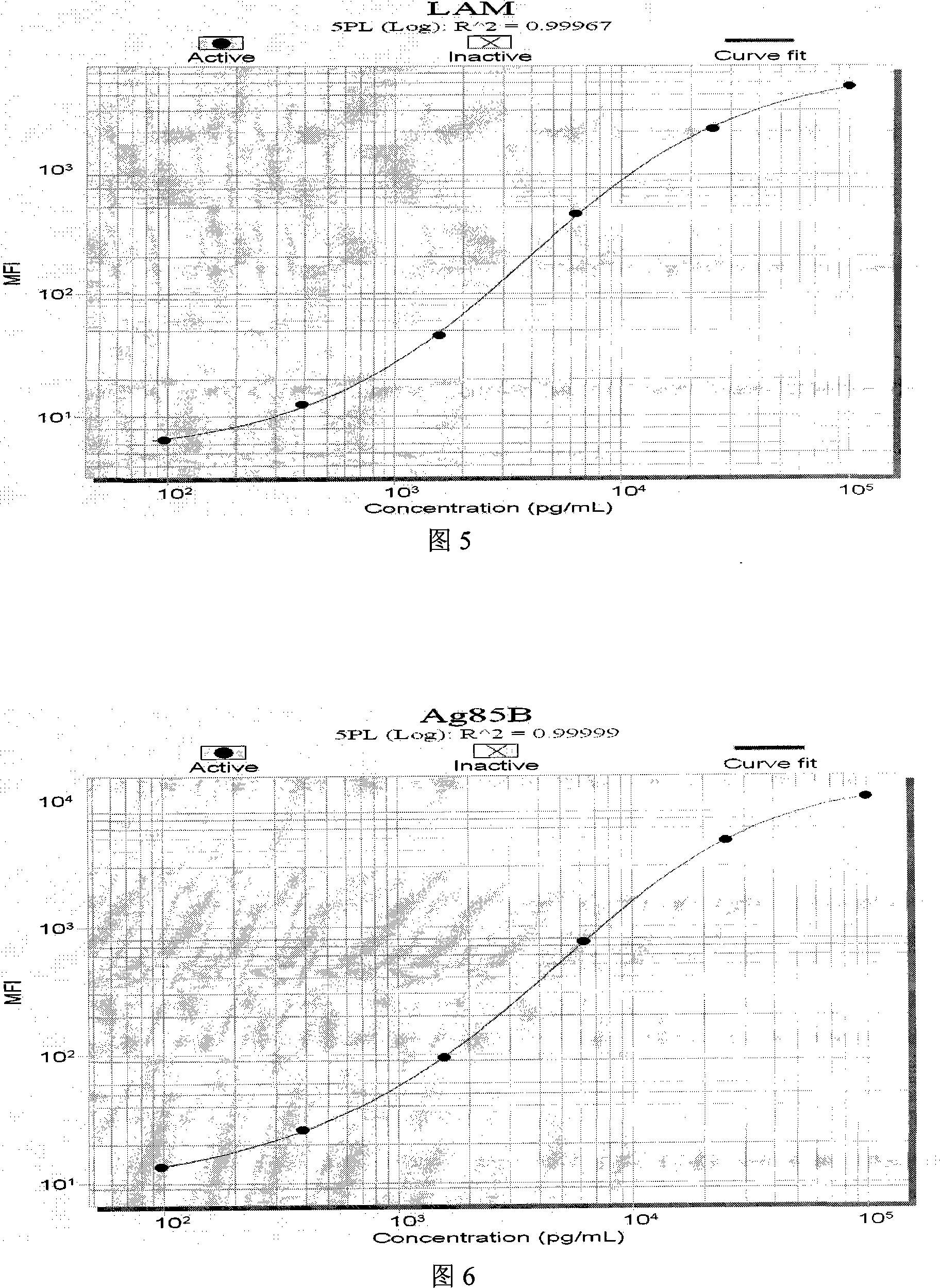 Mycobacterium tuberculosis detection liquid phase chip and method for making same