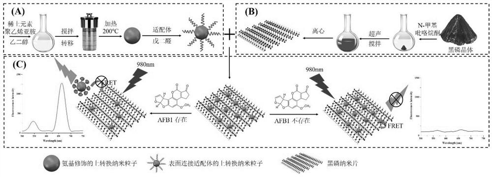 An aptamer sensor based on upconversion and black phosphorus nanosheets for the detection of aflatoxin b1