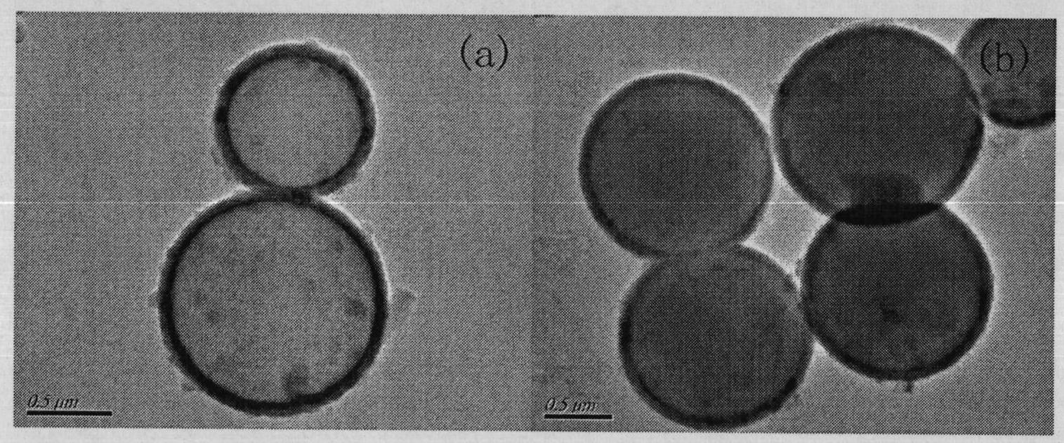 Silicon dioxide hollow nano-structure and preparation method thereof