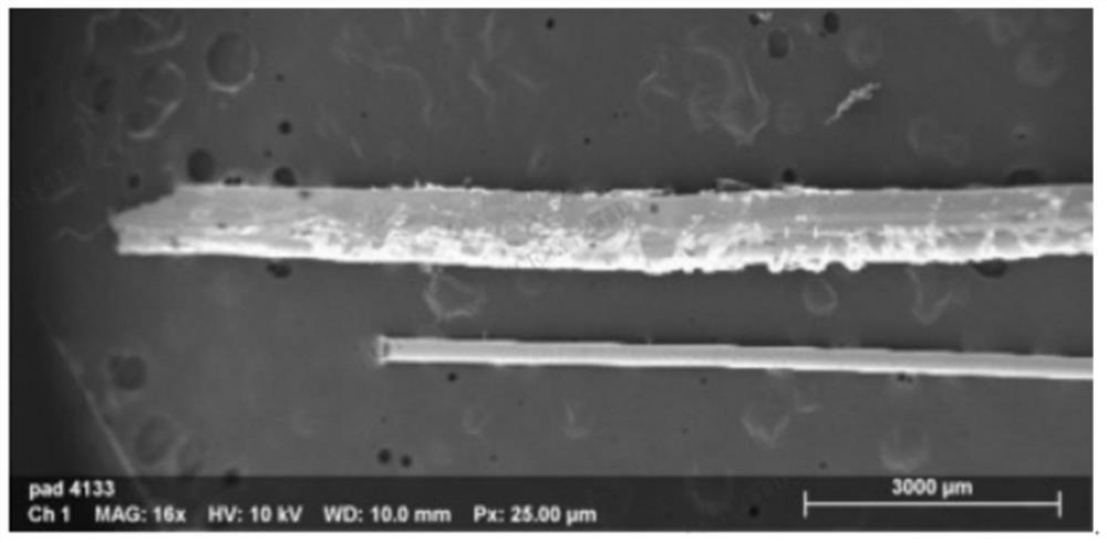 Piezoelectric fiber and preparation method thereof