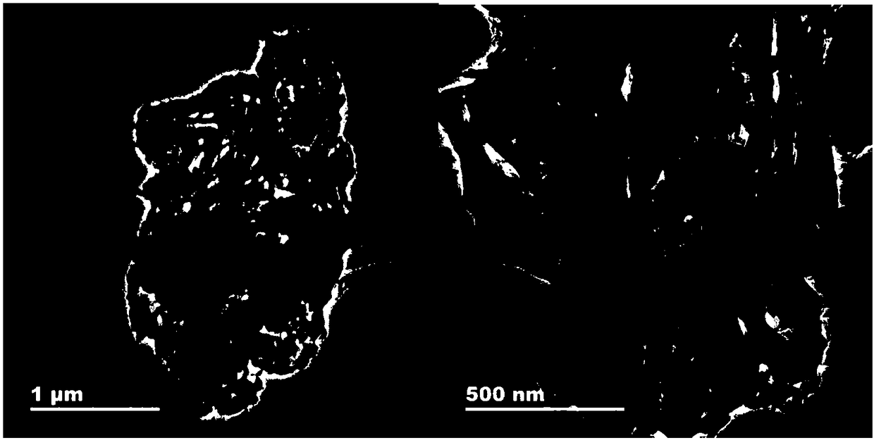 Palladium-graphitic carbon nitride-carbon nanotube composite electrode, and preparation method and application thereof