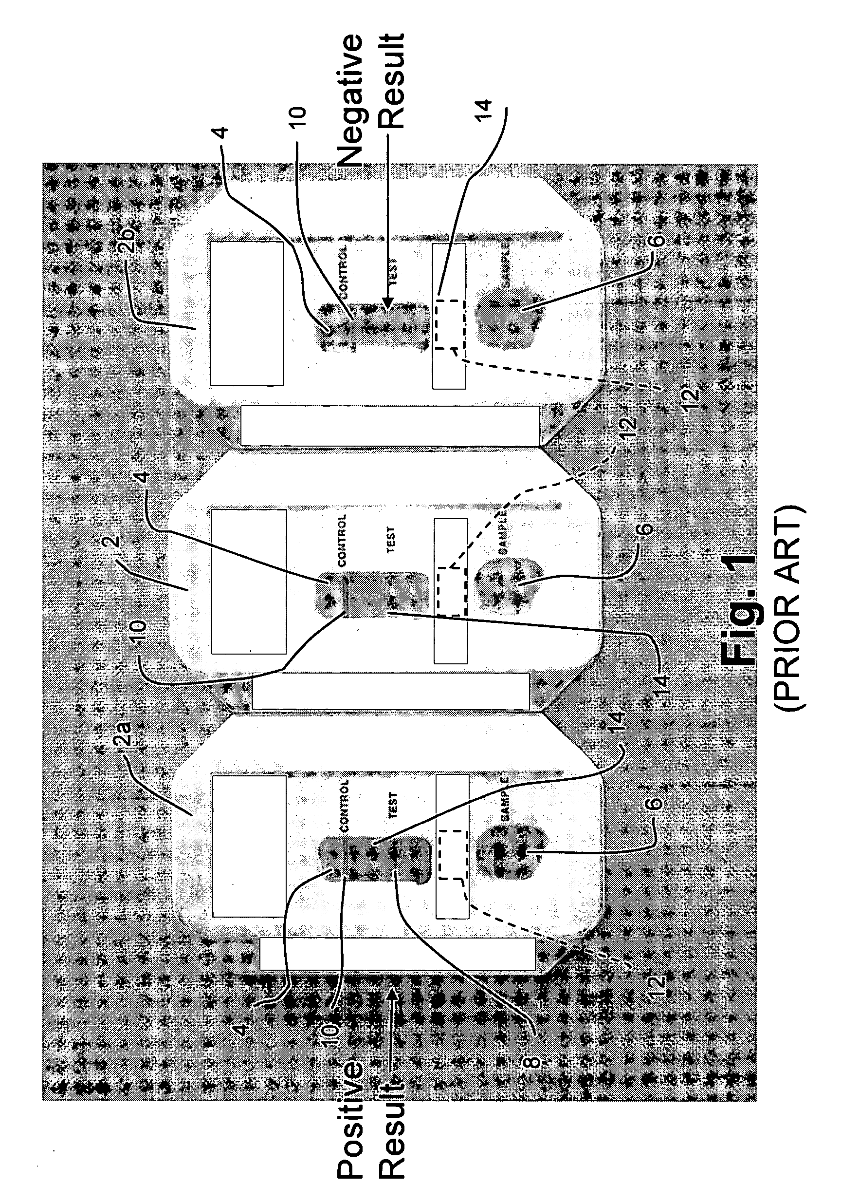 System and method for Raman spectroscopy assay using paramagnetic particles