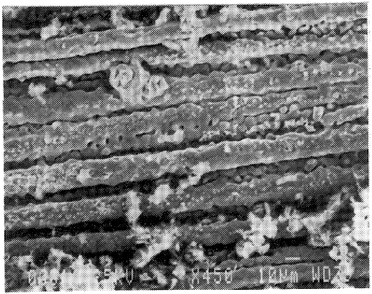 Chemically modified carbonaceous materials made by the defluorination of graphite fluoride and process therefor