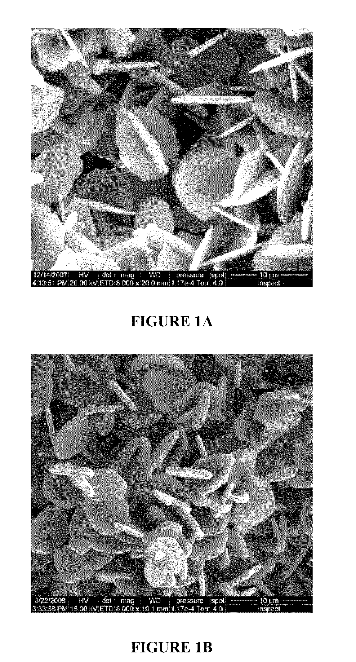 Porous body precursors, shaped porous bodies, processes for making them, and end-use products based upon the same