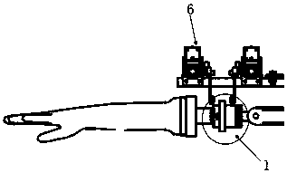 Curled edge coloring equipment and method for medical gloves