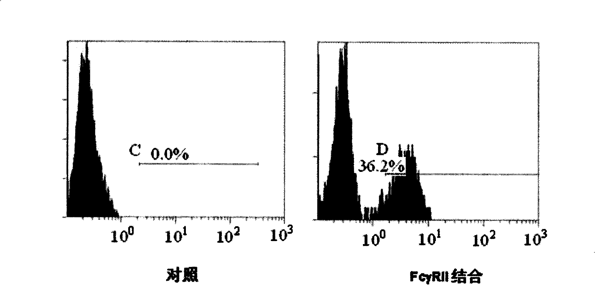 RANKL-Fc fusion protein, preparation method and application thereof