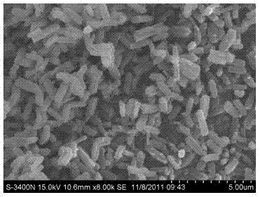 Shape-controlled mesoporous silica nano-material and preparation method thereof