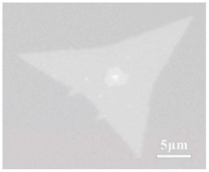 A two-dimensional transition metal dichalcogenide single crystal and its preparation method and application