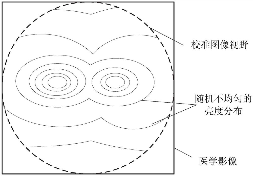 Image brightness calibration method for endoscope imaging