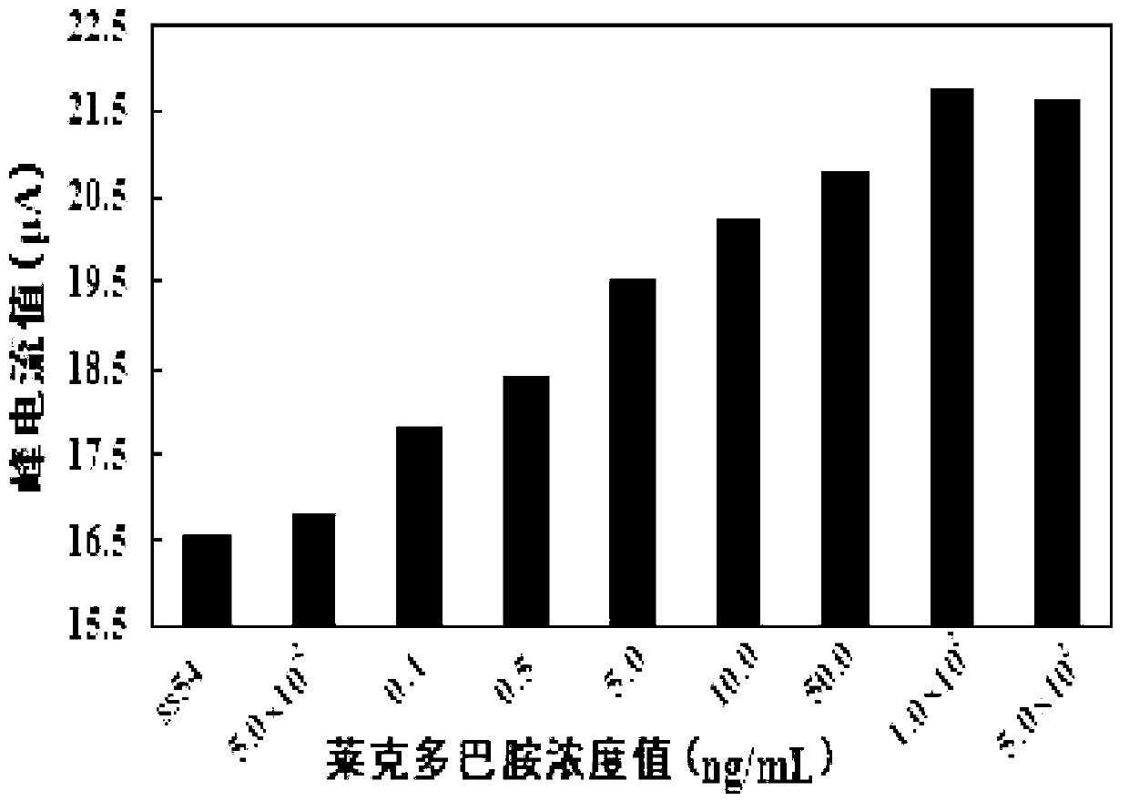 Ractopamine aptamer and electrochemical biosensor for detecting same