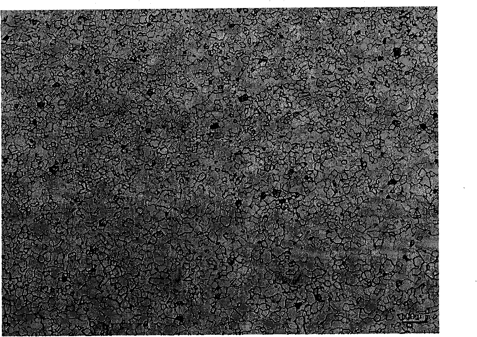 Method for preparing niobium sputtering target