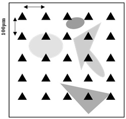 Method for evaluating development degree of shale microcosmic fractures based on nanoindentation experiment