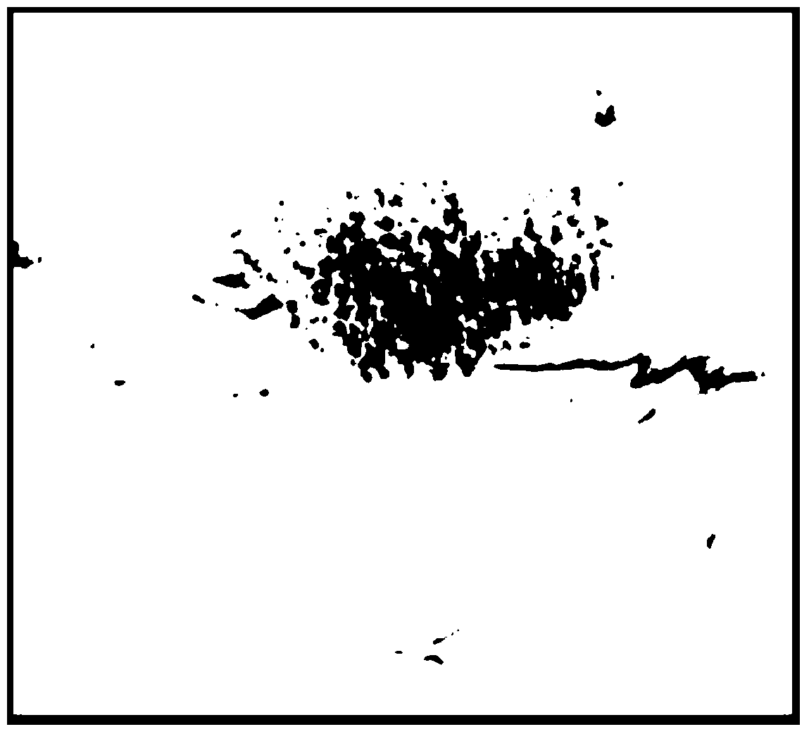 Intelligent ocean oil spill detection method for remote sensing large image