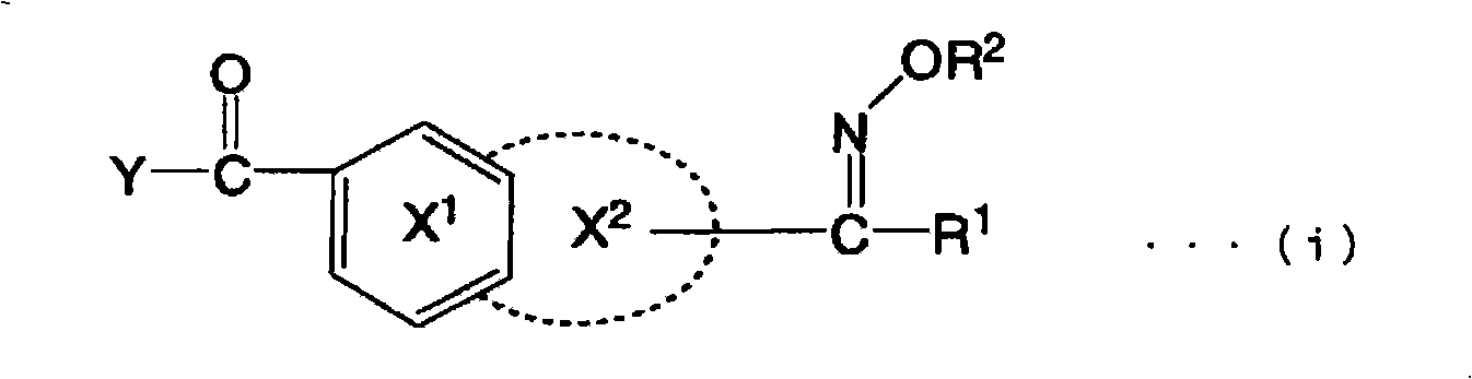 Oxime ester compound, photopolymerization initiator, photopolymerizable composition, color filter, and liquid crystal display device