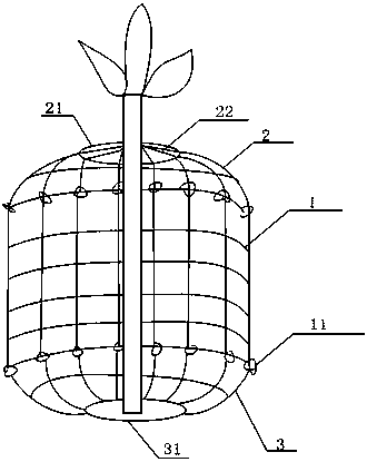 Tree root protection device