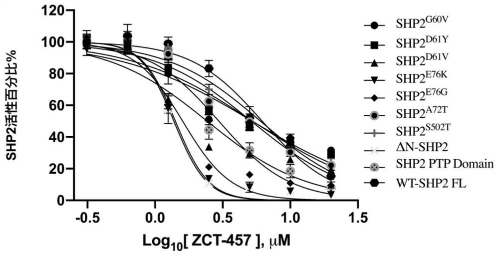 Oxygen-containing five-membered heterocyclic compound, synthesis method, pharmaceutical composition and application