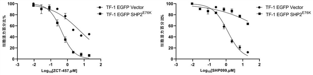 Oxygen-containing five-membered heterocyclic compound, synthesis method, pharmaceutical composition and application