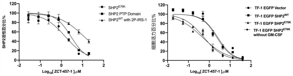 Oxygen-containing five-membered heterocyclic compound, synthesis method, pharmaceutical composition and application