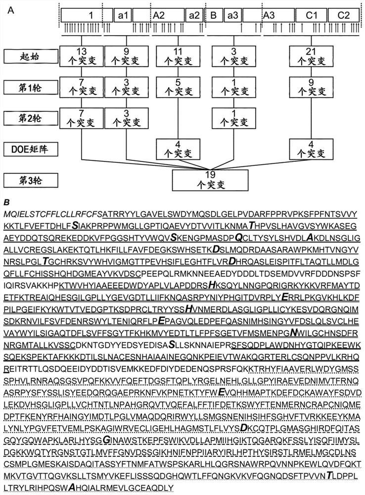 De-immunized factor viii molecule and pharmaceutical compositions comprising the same