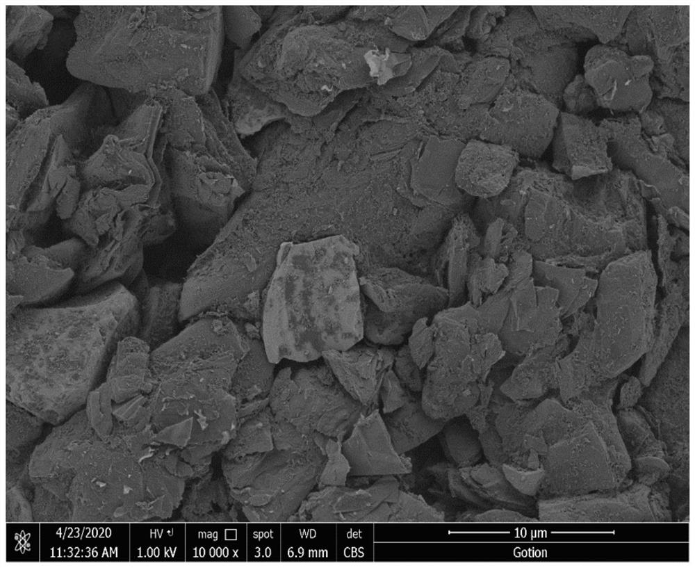 Positioning processing method for scanning electron microscope shooting of silicon-based negative electrode material