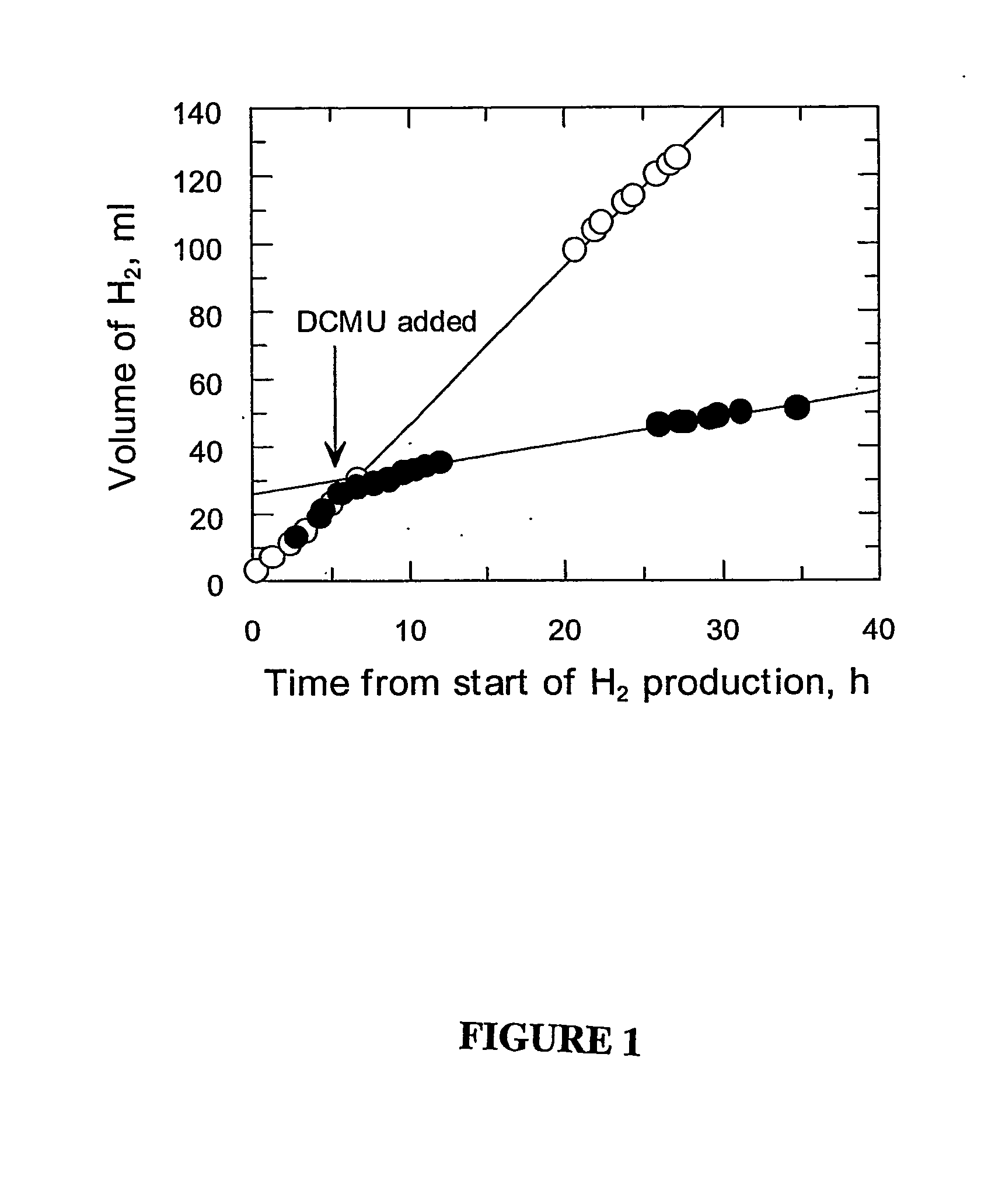 Fluorescence technique for on-line monitoring of state of hydrogen-producing microorganisms