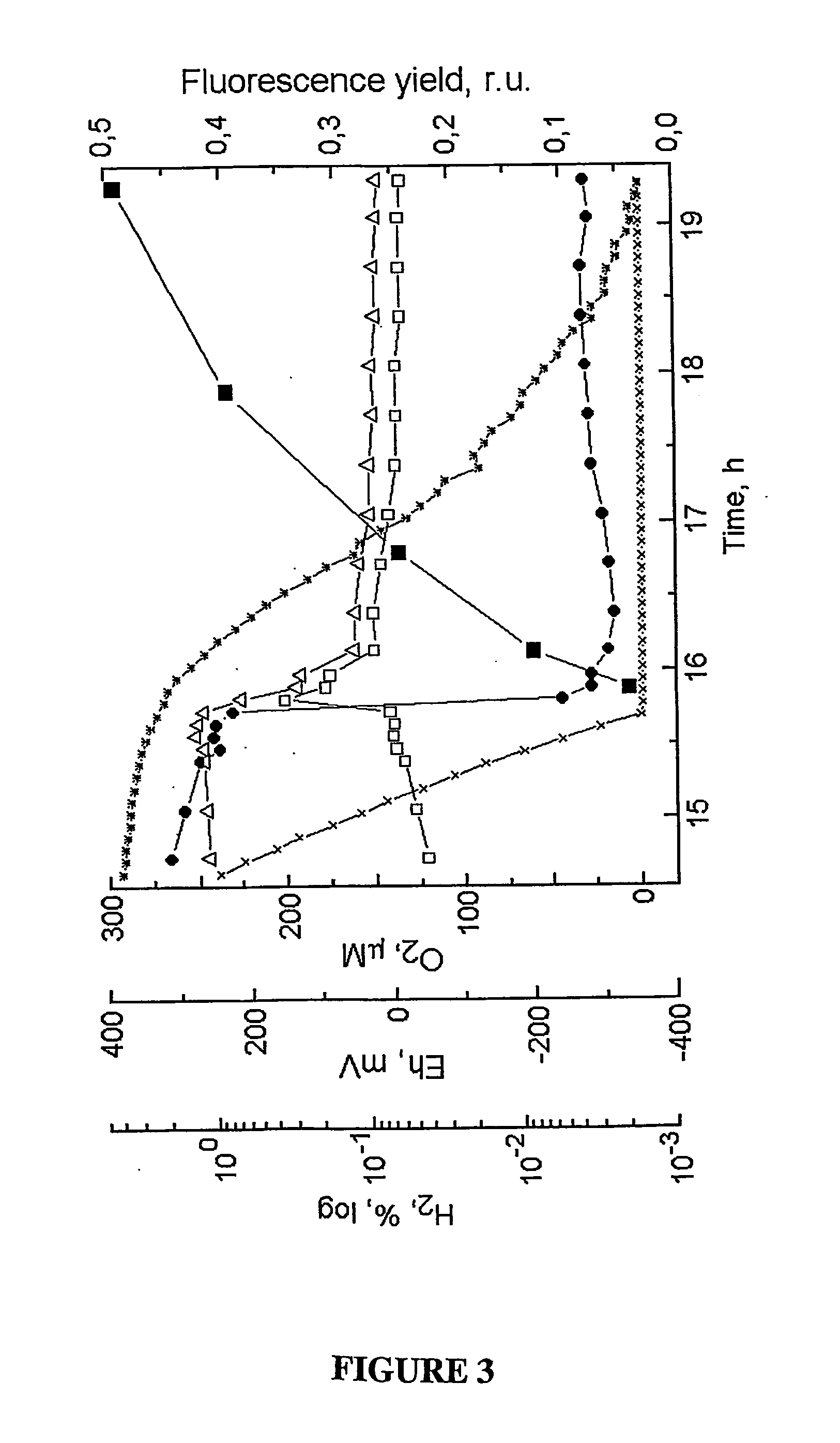 Fluorescence technique for on-line monitoring of state of hydrogen-producing microorganisms