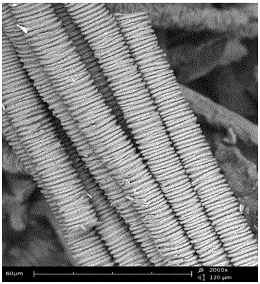 Preparation method of surface crease boron carbon nitride fiber